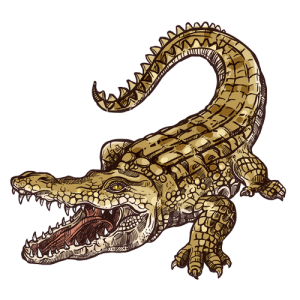 La guerra de los yacarés