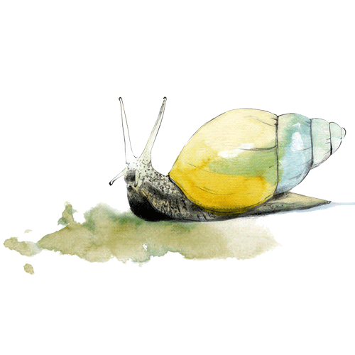 La marca en la pared