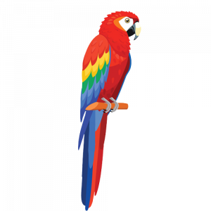 El loro pelado