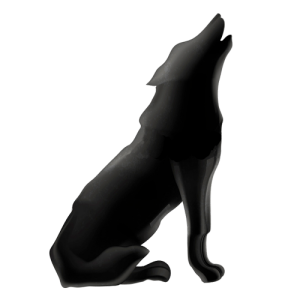 El can de media noche