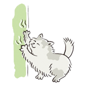 Los juegos del gato Pik